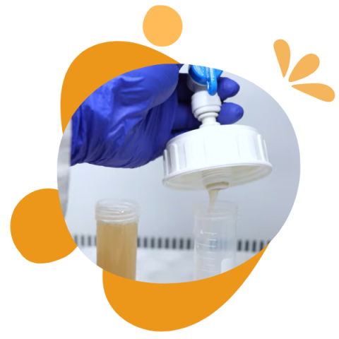 Biotecnología: acuicultura sustentable