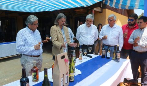 Alianza UdeC-Viñateros de Florida busca potenciar competitividad en mercado del brandy